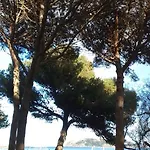 Pina Colada * L'Estartit
